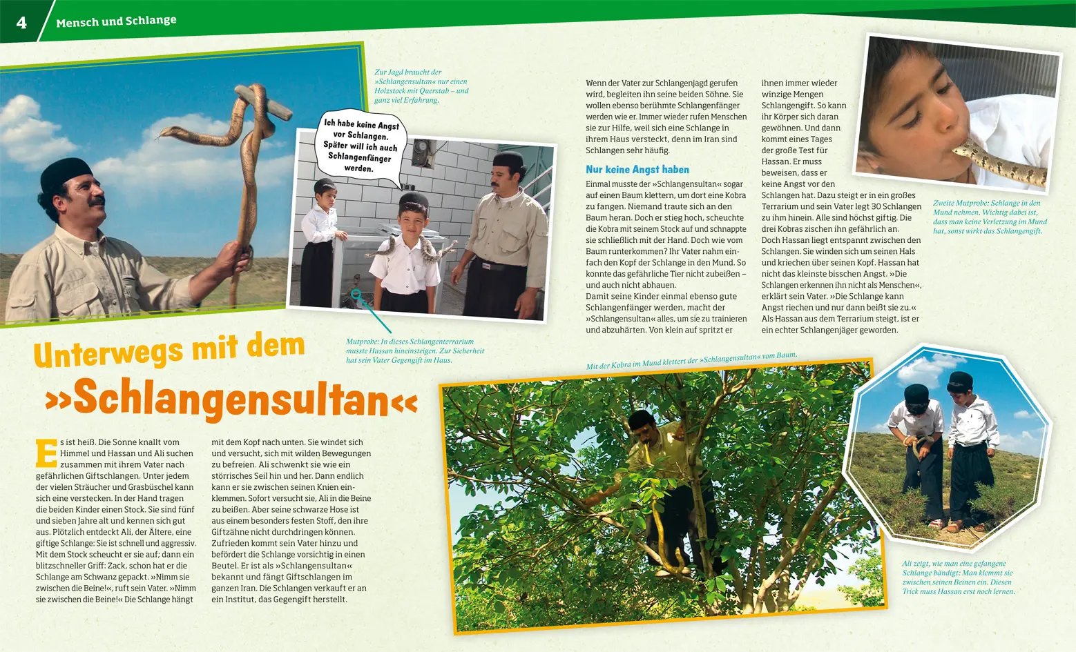 Bild: 9783788620493 | WAS IST WAS Band 121 Schlangen | Jäger mit dem sechsten Sinn | Buch