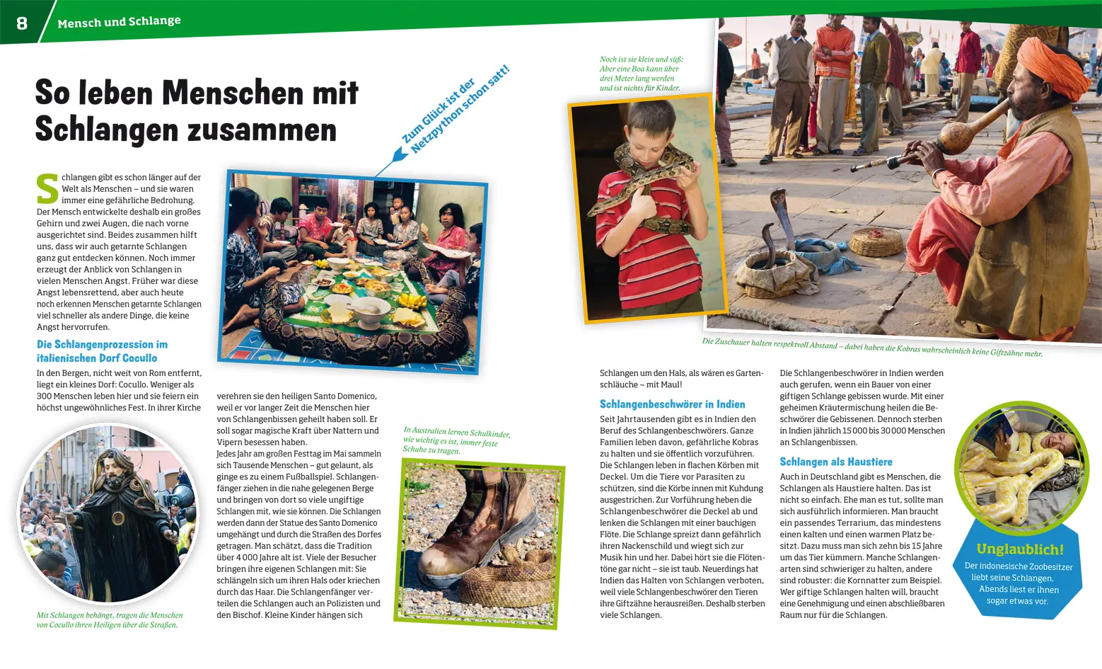 Bild: 9783788620493 | WAS IST WAS Band 121 Schlangen | Jäger mit dem sechsten Sinn | Buch