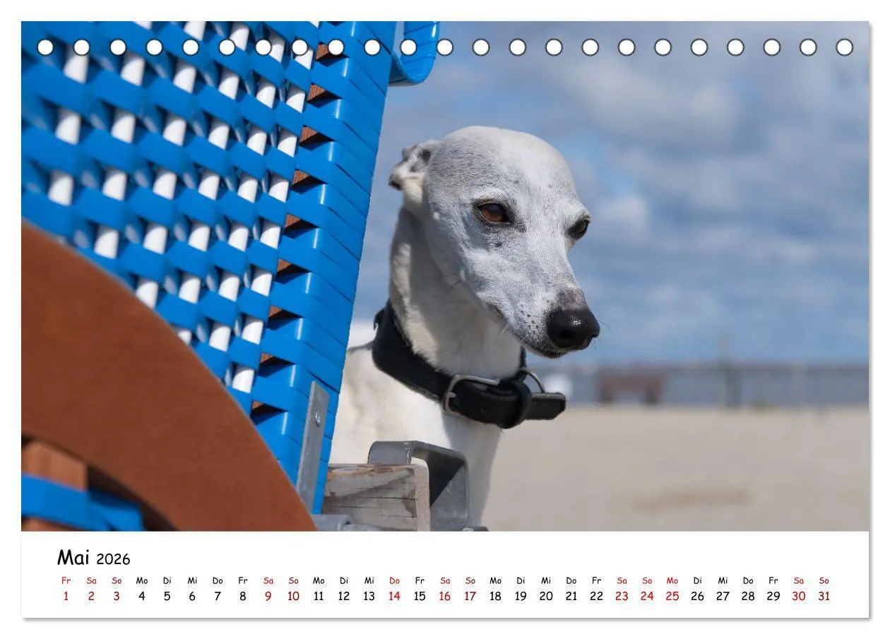 Bild: 9783457640593 | Strandurlaub mit Hund (Tischkalender 2026 DIN A5 quer), CALVENDO...
