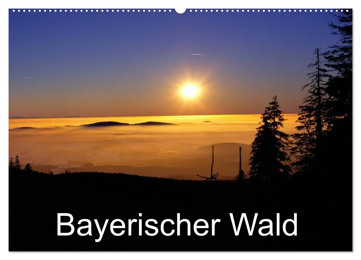 Cover: 9783516110593 | Bayerischer Wald (Wandkalender 2026 DIN A2 quer), CALVENDO...