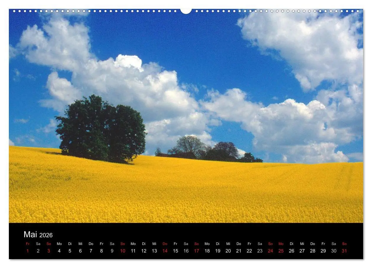 Bild: 9783516110593 | Bayerischer Wald (Wandkalender 2026 DIN A2 quer), CALVENDO...
