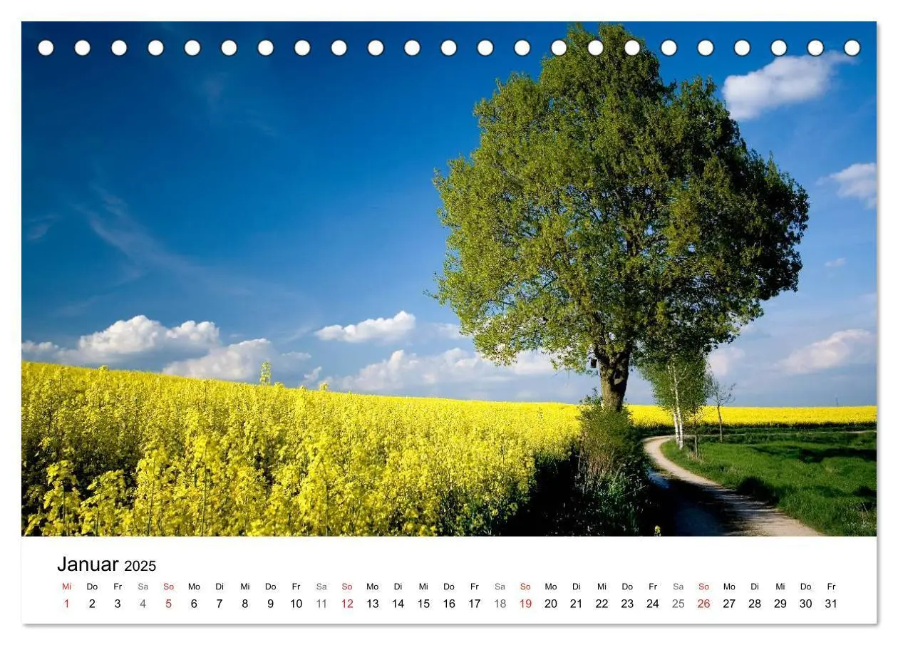 Bild: 9783435470693 | Rapsodie (Tischkalender 2025 DIN A5 quer), CALVENDO Monatskalender