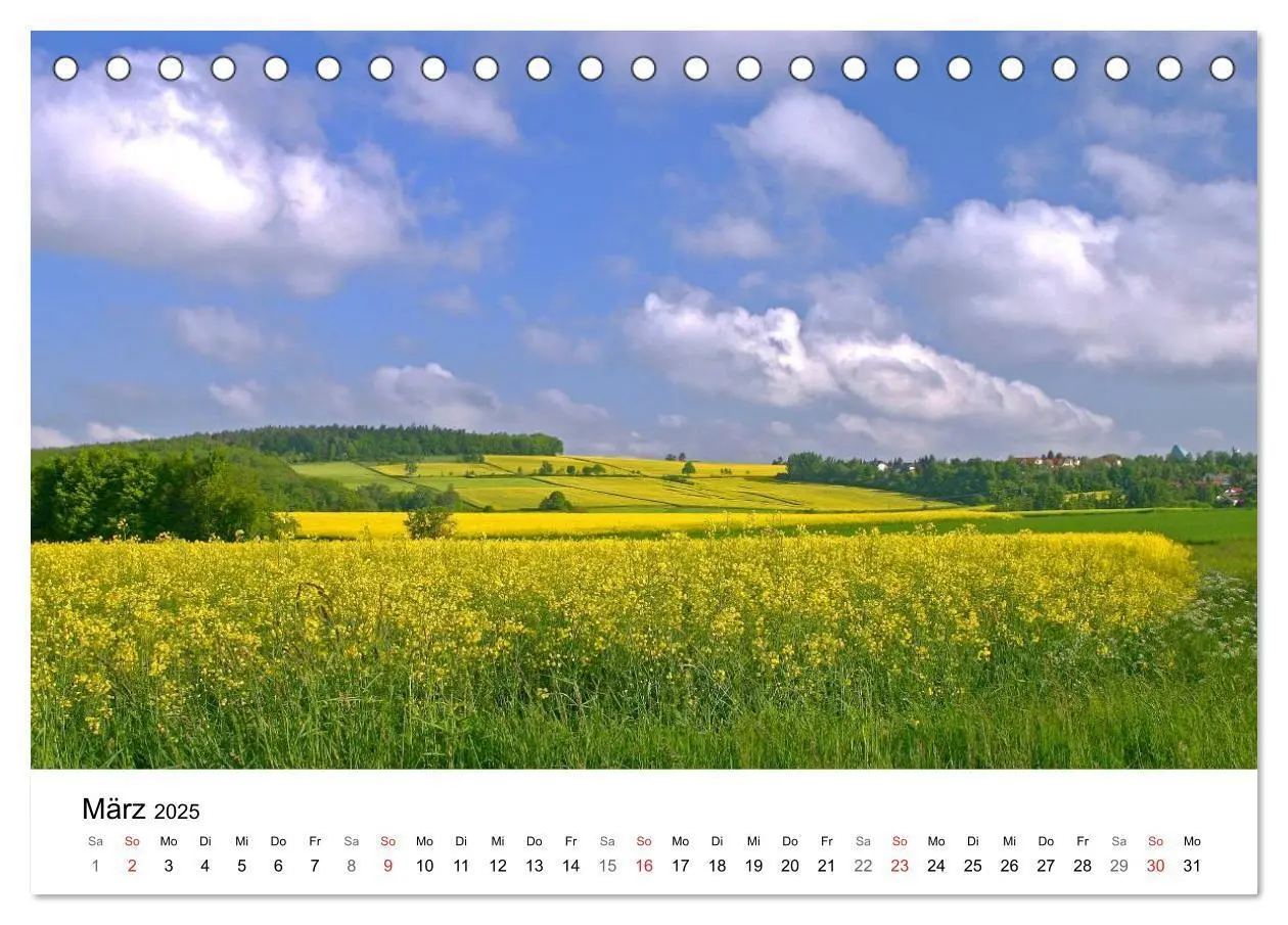 Bild: 9783435470693 | Rapsodie (Tischkalender 2025 DIN A5 quer), CALVENDO Monatskalender