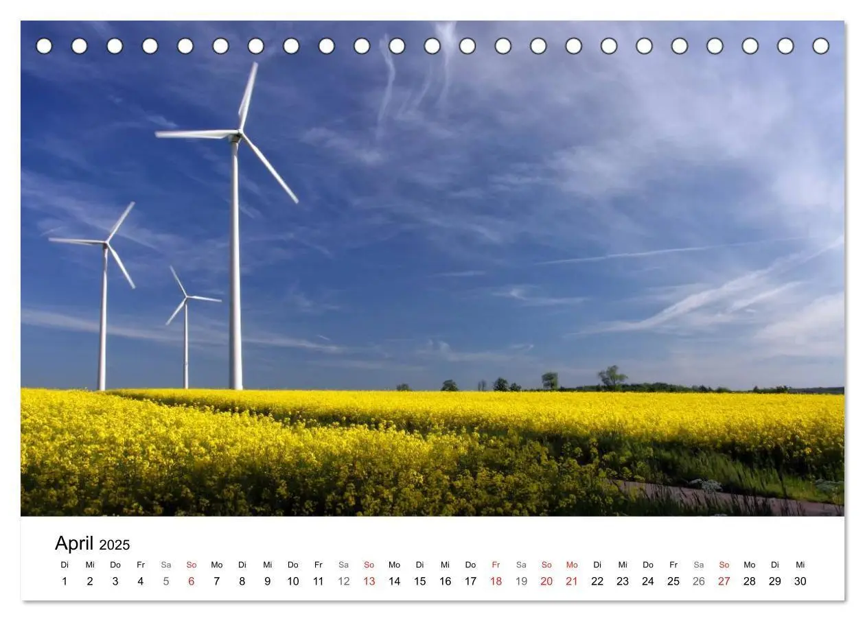 Bild: 9783435470693 | Rapsodie (Tischkalender 2025 DIN A5 quer), CALVENDO Monatskalender