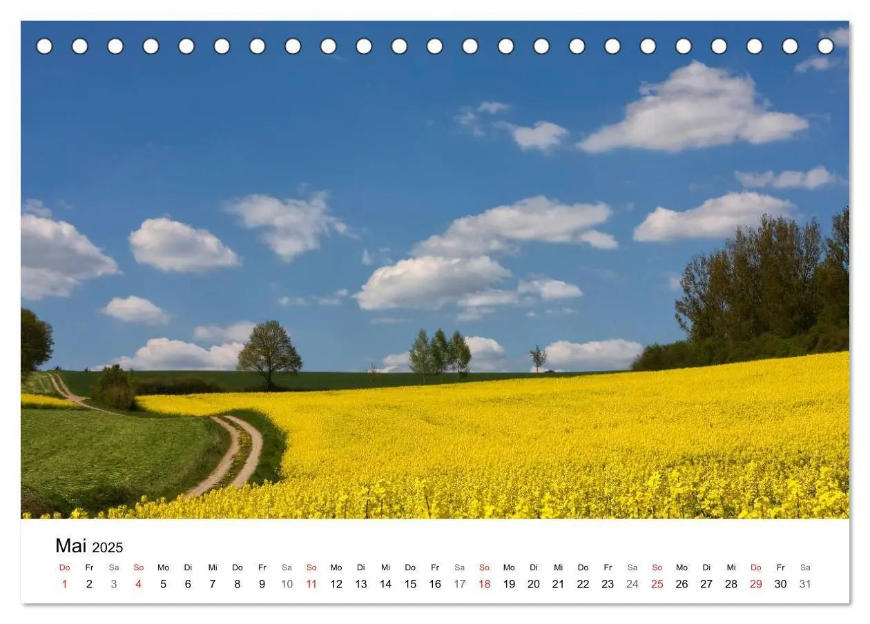 Bild: 9783435470693 | Rapsodie (Tischkalender 2025 DIN A5 quer), CALVENDO Monatskalender