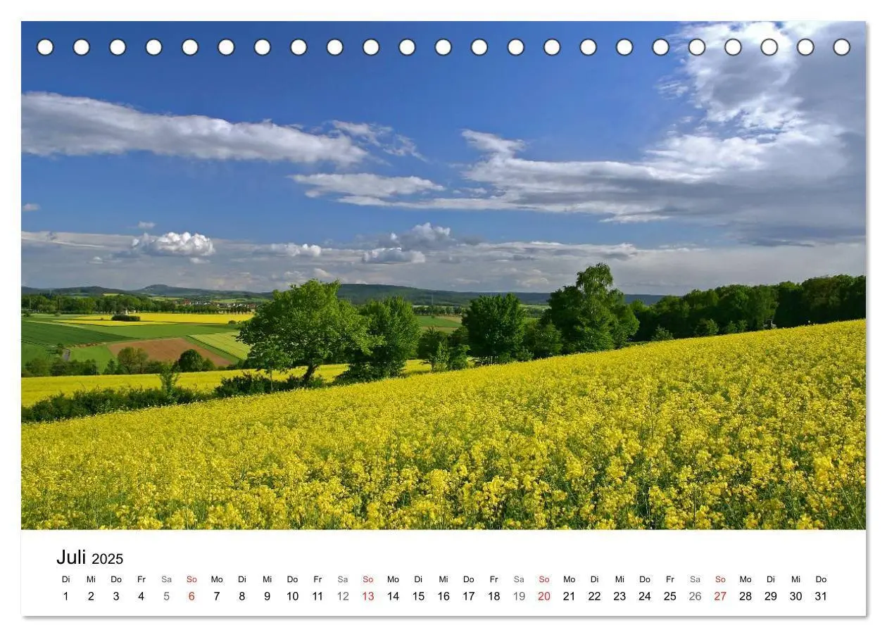 Bild: 9783435470693 | Rapsodie (Tischkalender 2025 DIN A5 quer), CALVENDO Monatskalender