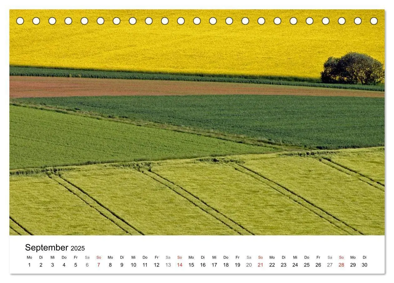 Bild: 9783435470693 | Rapsodie (Tischkalender 2025 DIN A5 quer), CALVENDO Monatskalender