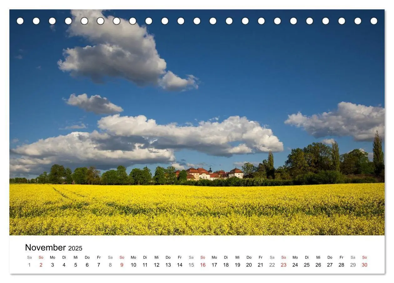 Bild: 9783435470693 | Rapsodie (Tischkalender 2025 DIN A5 quer), CALVENDO Monatskalender