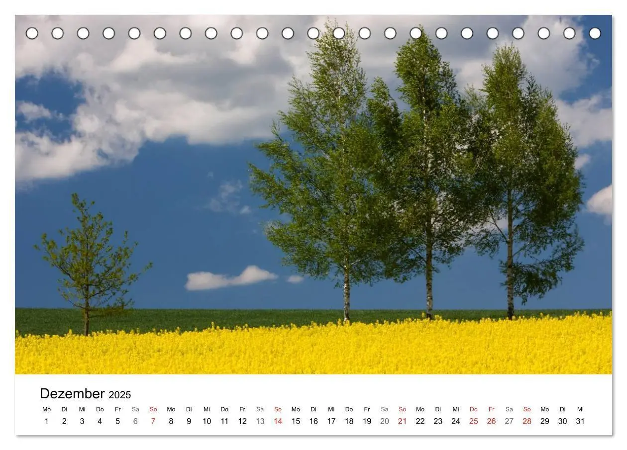 Bild: 9783435470693 | Rapsodie (Tischkalender 2025 DIN A5 quer), CALVENDO Monatskalender