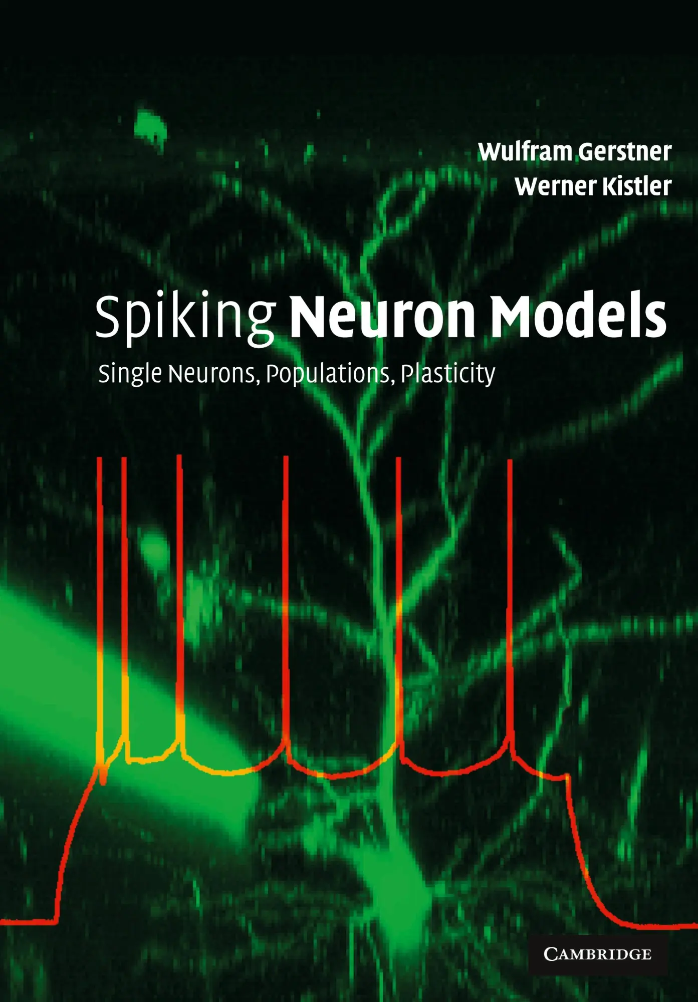 Cover: 9780521890793 | Spiking Neuron Models | Single Neurons, Populations, Plasticity | Buch