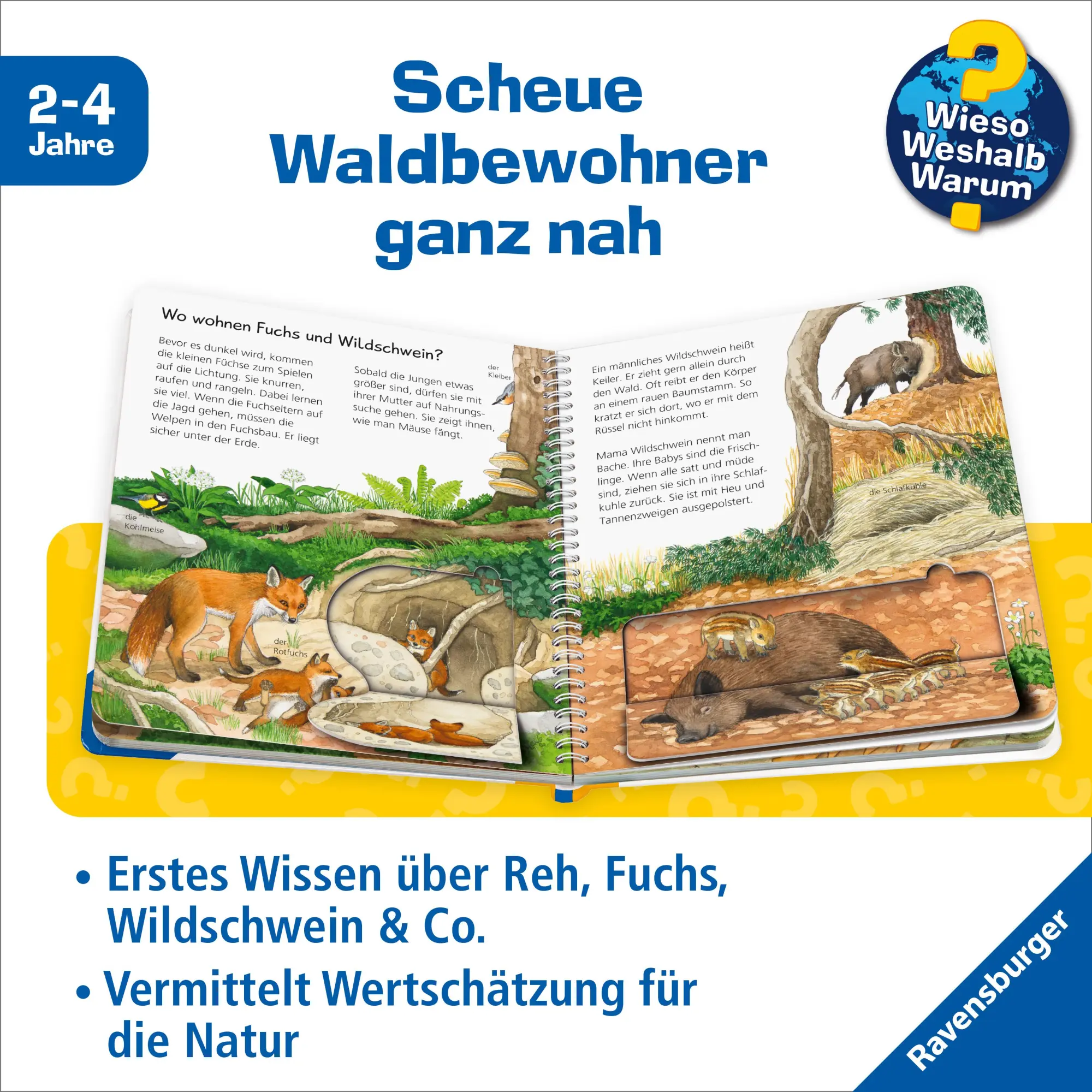 Bild: 9783473600793 | Wieso? Weshalb? Warum? junior, Band 77 - Tiere im Wald | Mennen | Buch