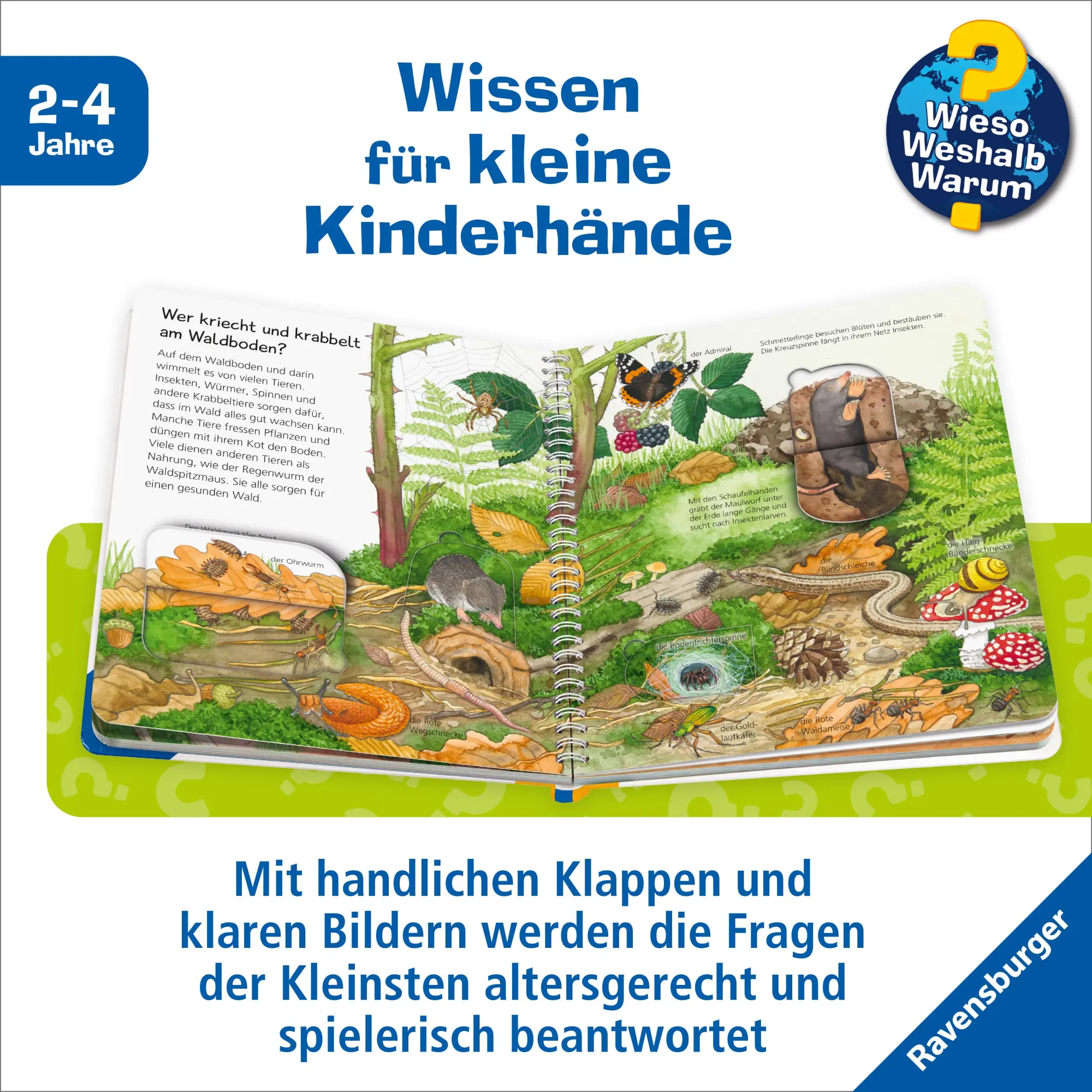 Bild: 9783473600793 | Wieso? Weshalb? Warum? junior, Band 77 - Tiere im Wald | Mennen | Buch