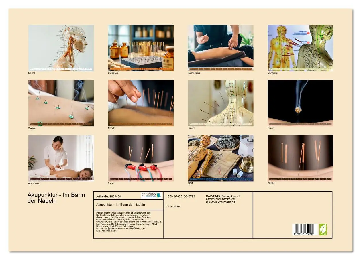 Bild: 9783516640793 | Akupunktur - Im Bann der Nadeln (Wandkalender 2026 DIN A2 quer),...
