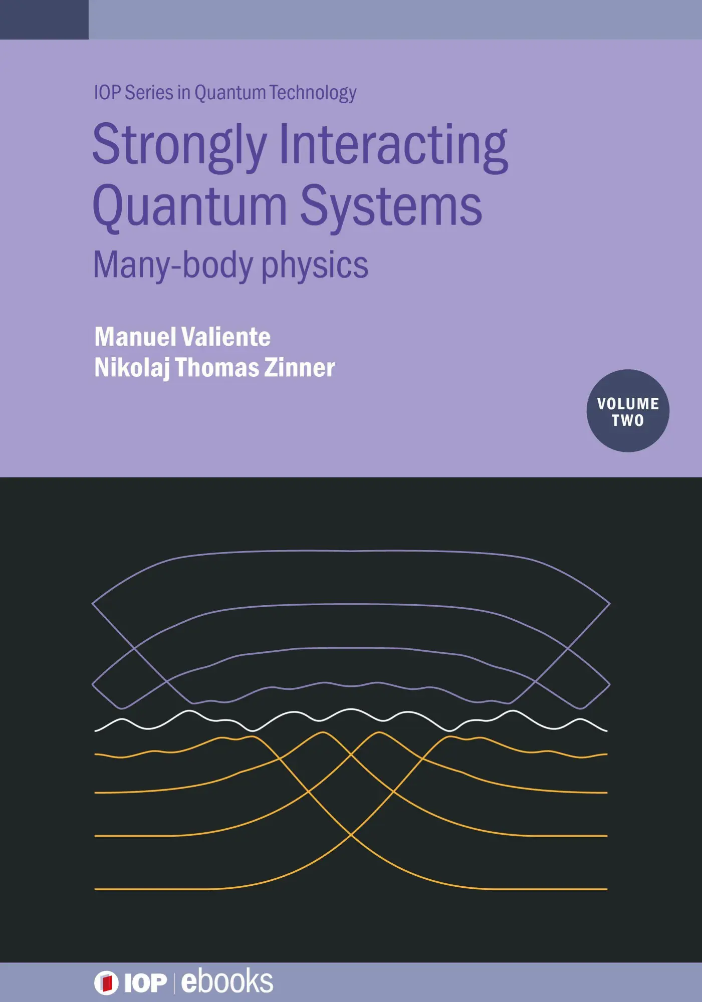 Cover: 9780750330893 | Strongly Interacting Quantum Systems in Structured Media | Buch | 2025