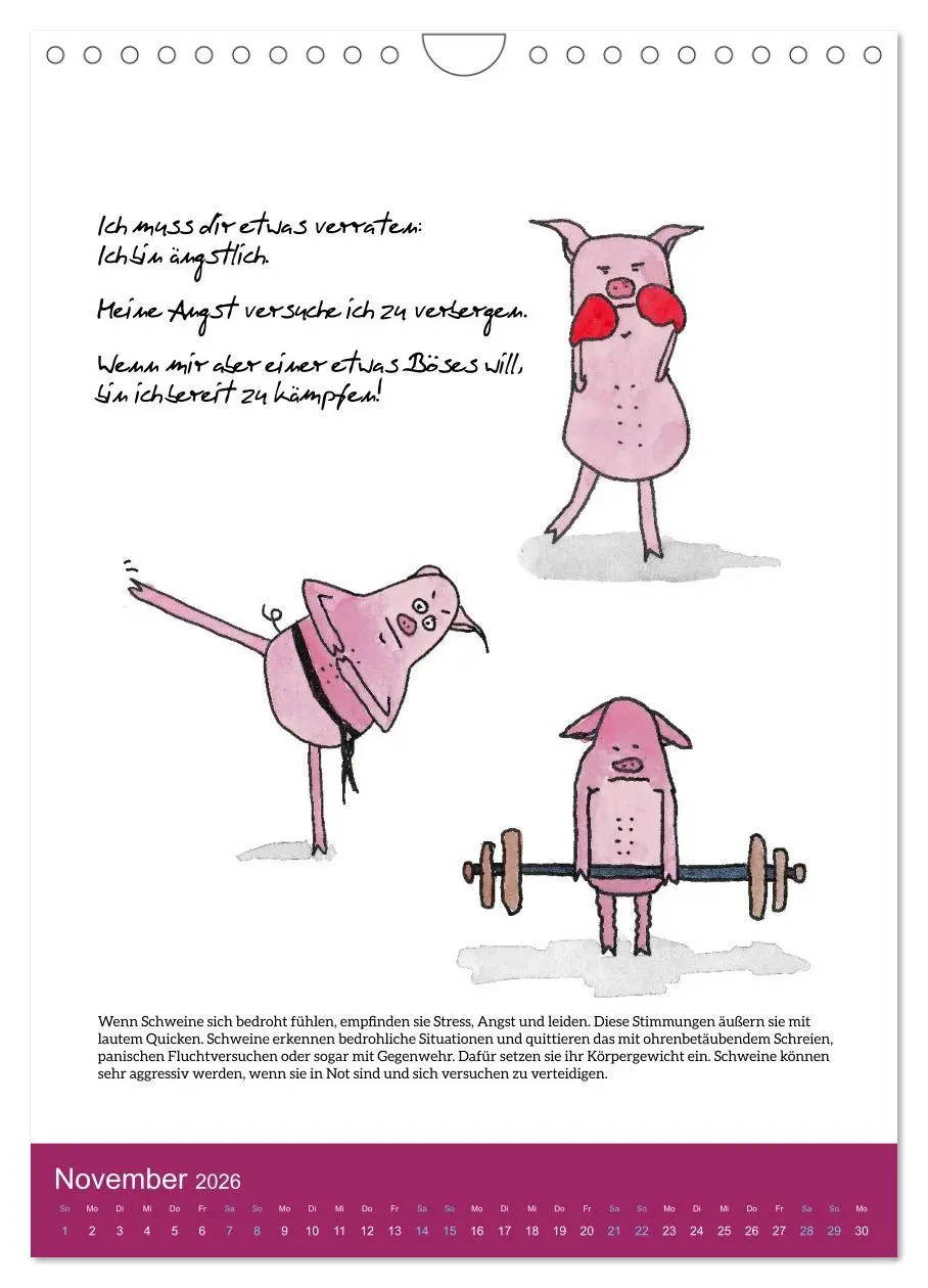 Bild: 9783516320893 | Schweinekalender - Alles was du über Schweine wissen wolltest!...