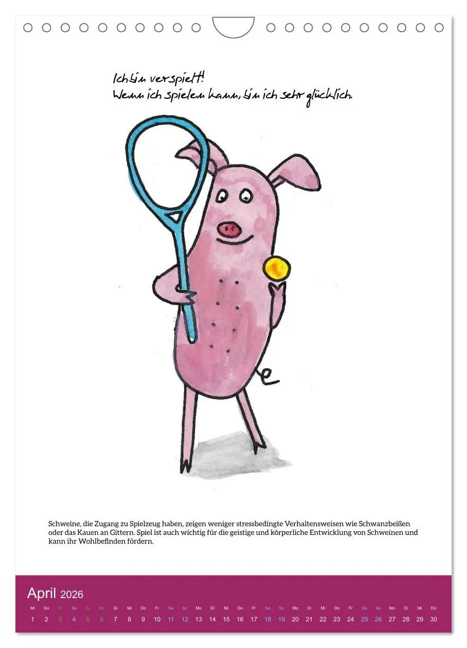 Bild: 9783516320893 | Schweinekalender - Alles was du über Schweine wissen wolltest!...
