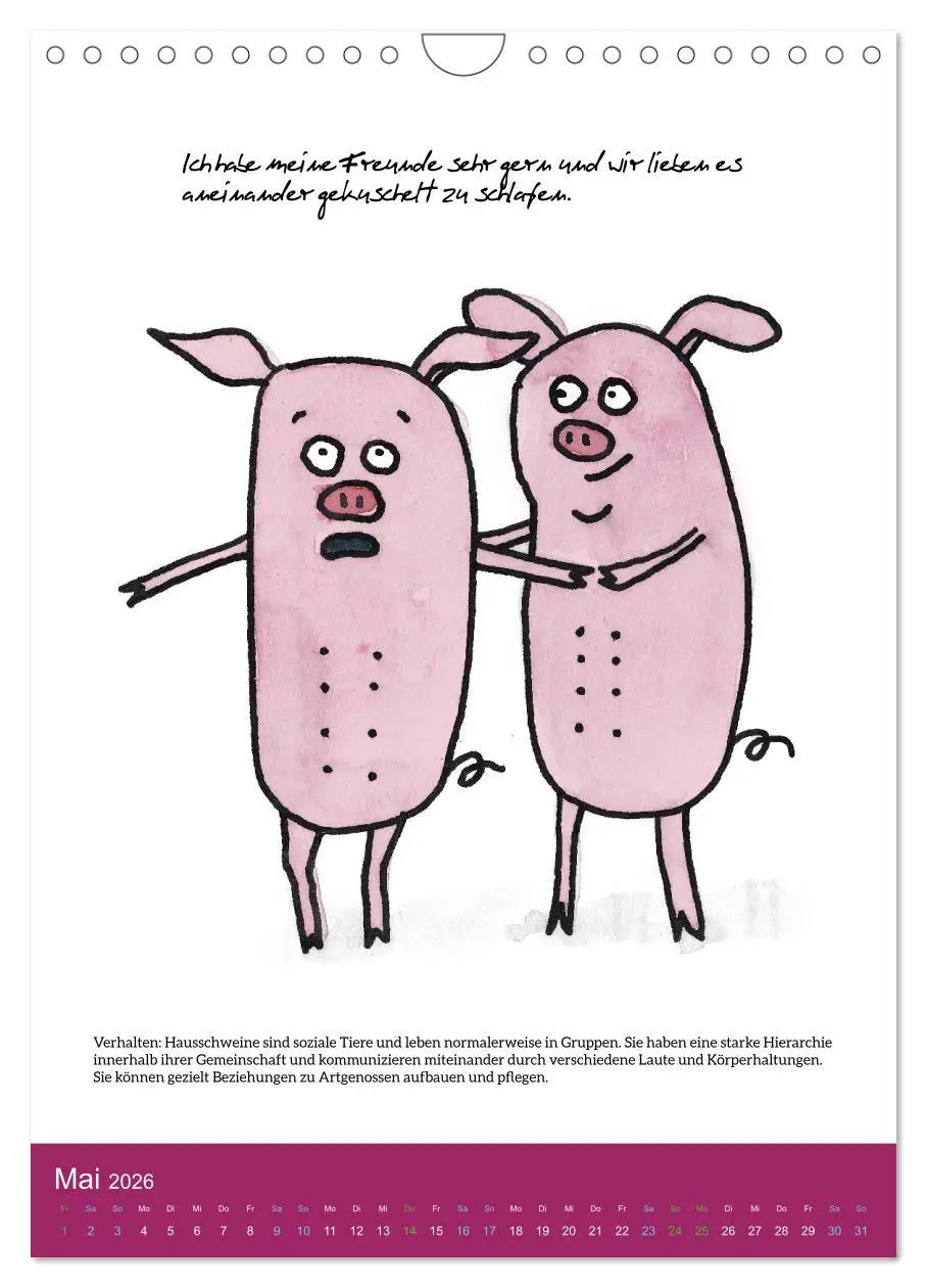 Bild: 9783516320893 | Schweinekalender - Alles was du über Schweine wissen wolltest!...