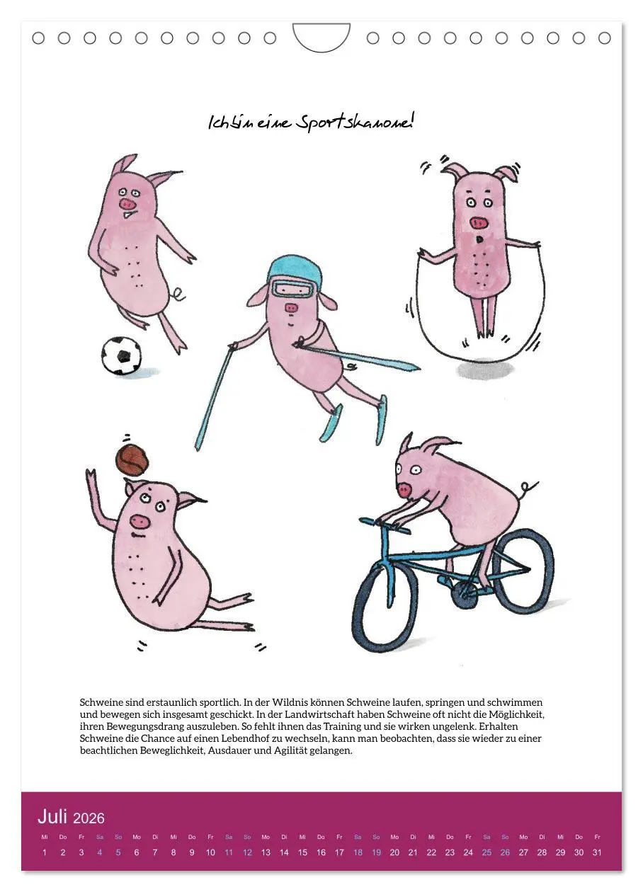 Bild: 9783516320893 | Schweinekalender - Alles was du über Schweine wissen wolltest!...