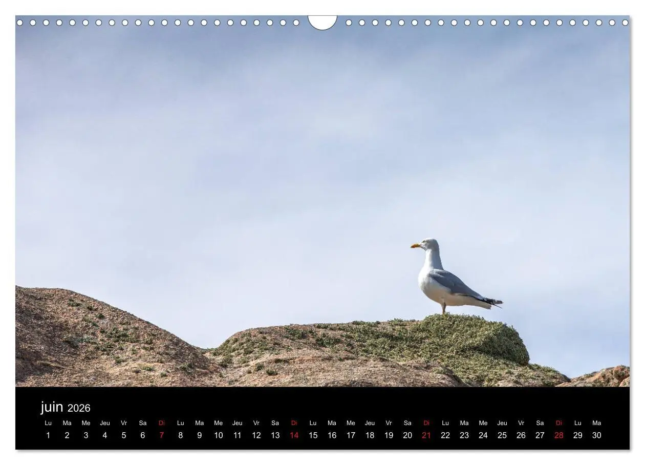 Bild: 9783516560893 | Normandie et Bretagne (Calendrier mural 2026 DIN A3 vertical),...