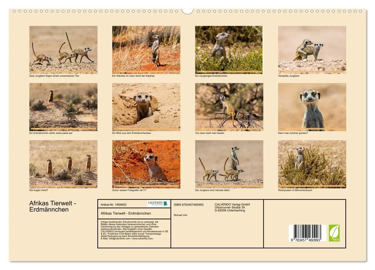 Bild: 9783457460993 | Afrikas Tierwelt - Erdmännchen (hochwertiger Premium Wandkalender...