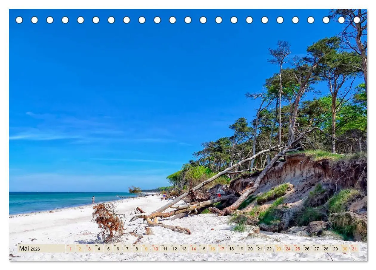 Bild: 9783457840993 | Deutschland - Nationalparks (Tischkalender 2026 DIN A5 quer),...