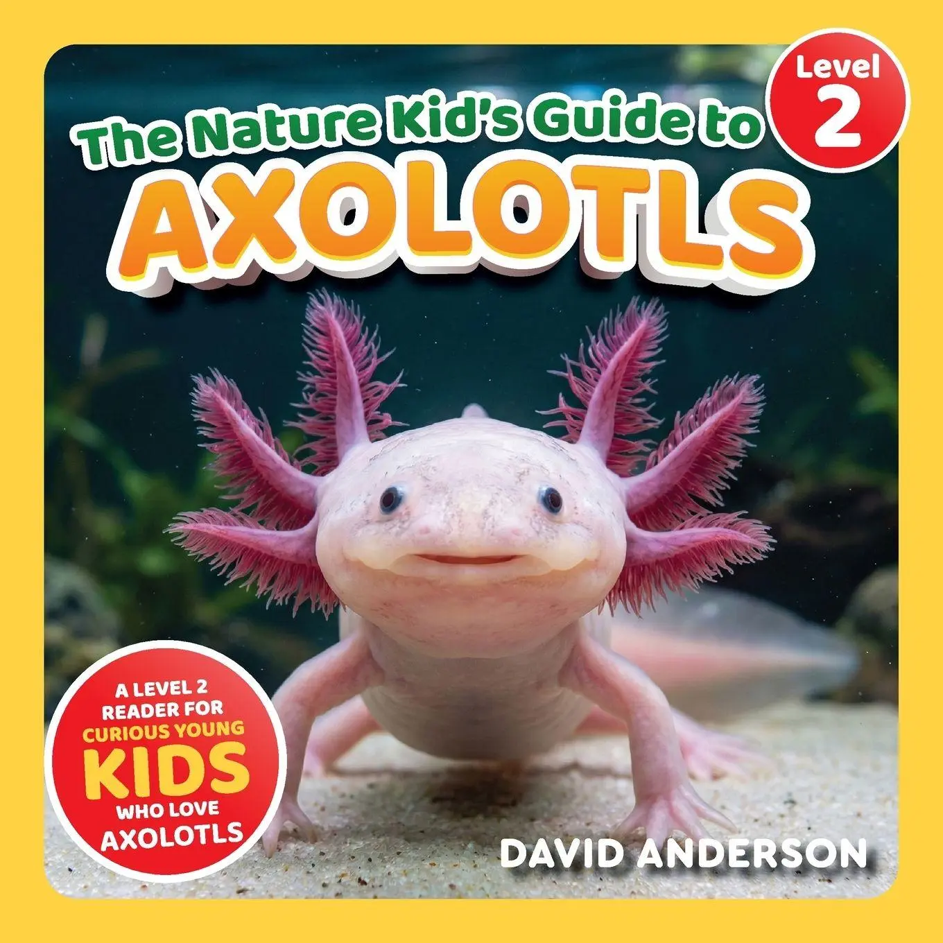 Cover: 9798898181093 | The Nature Kid's Guide to Axolotls | David Anderson | Taschenbuch