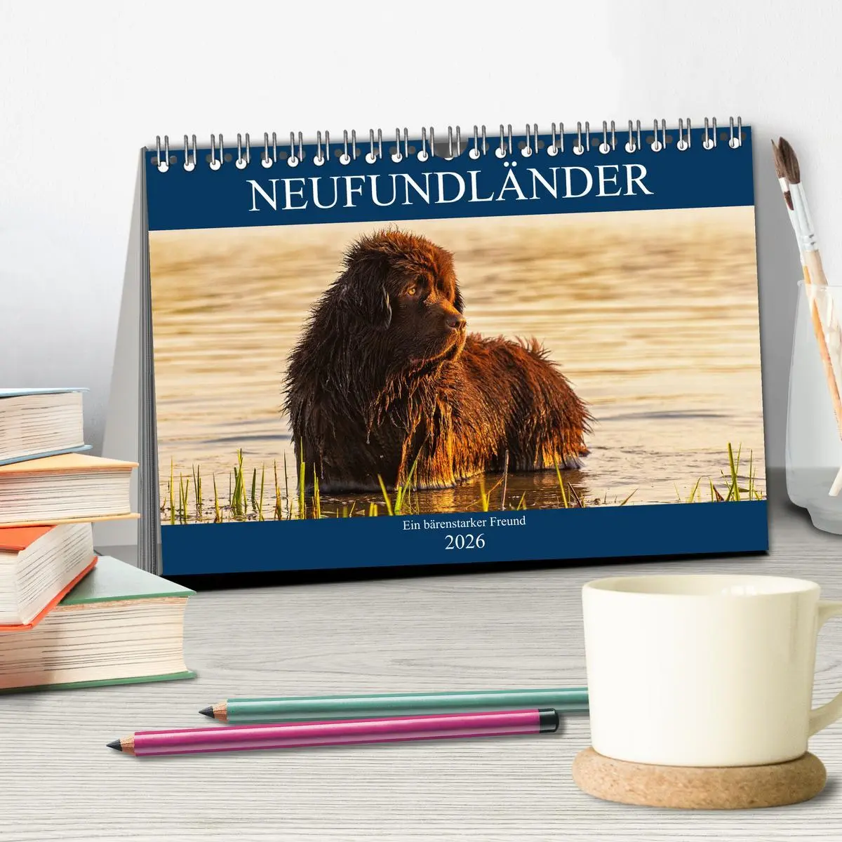 Bild: 9783457721193 | Neufundländer - Ein bärenstarker Freund (Tischkalender 2026 DIN A5...