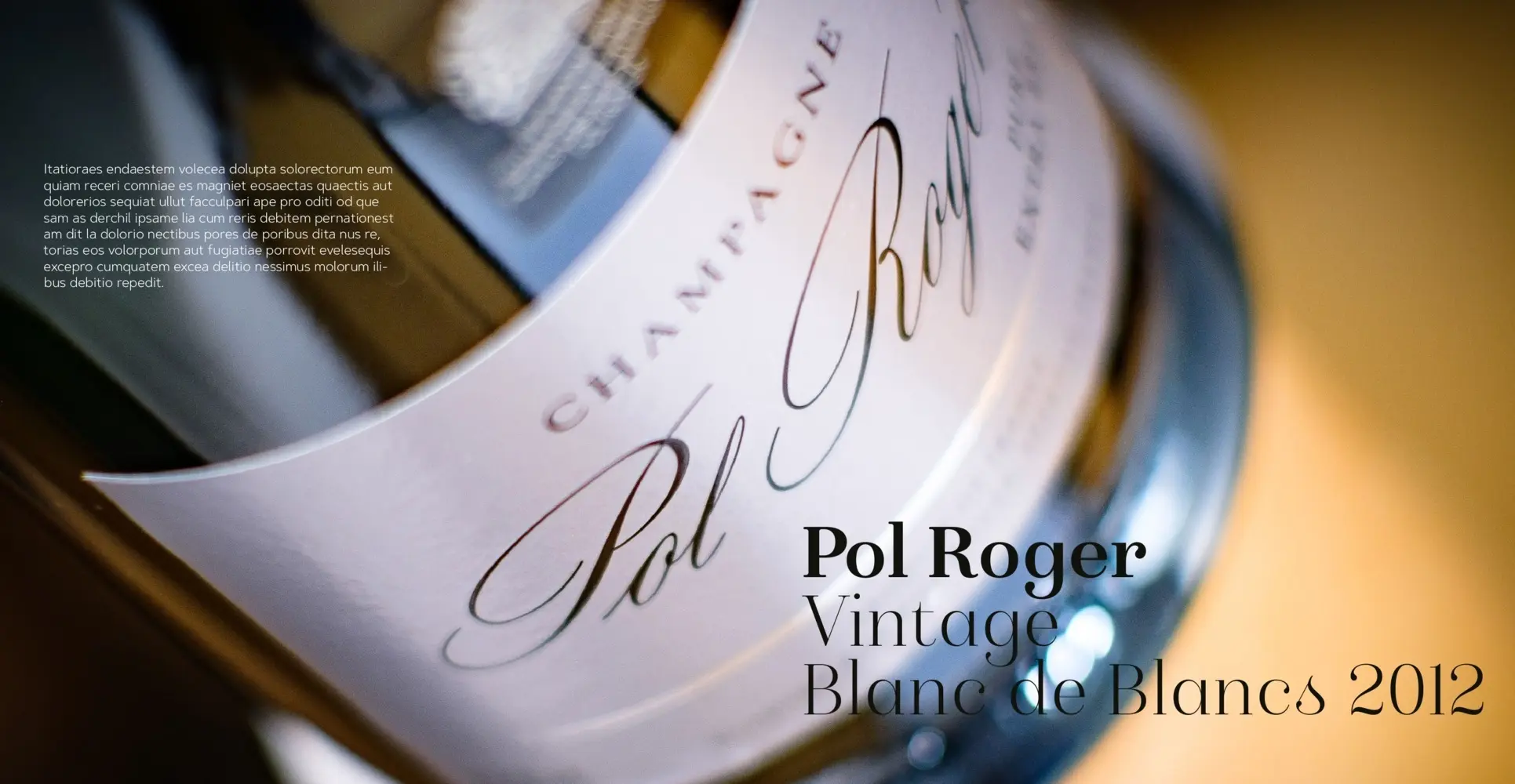 Bild: 9783960331193 | Champagner | Stefan Pegatzky | Buch | 240 S. | Deutsch | 2021