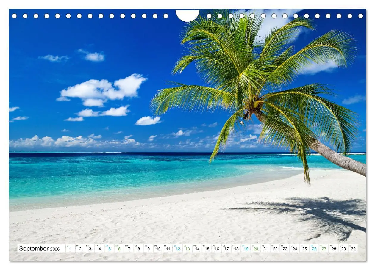 Bild: 9783457331293 | Sehnsucht Strandparadies (Wandkalender 2026 DIN A4 quer), CALVENDO...