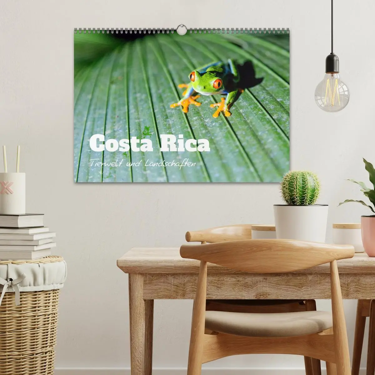 Bild: 9783457571293 | Costa Rica - Tierwelt und Landschaften (Wandkalender 2026 DIN A3...