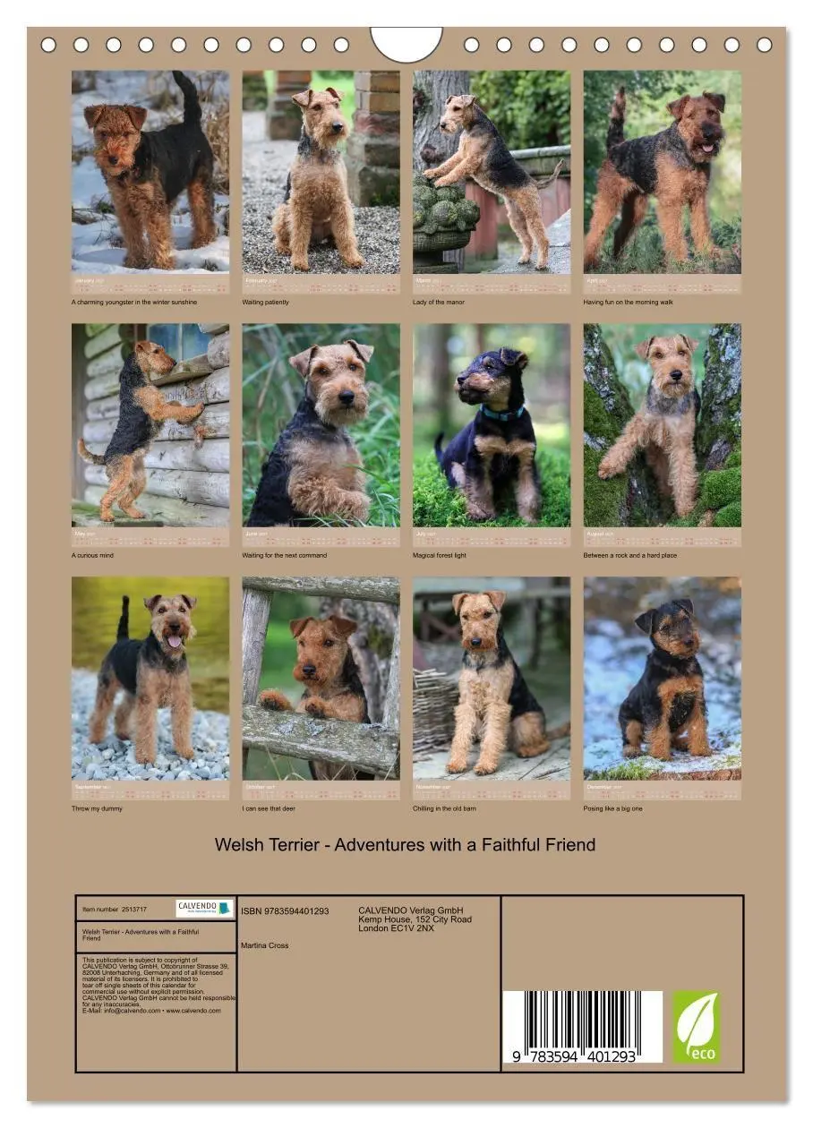 Bild: 9783594401293 | Welsh Terrier - Adventures with a Faithful Friend (Wall Calendar...