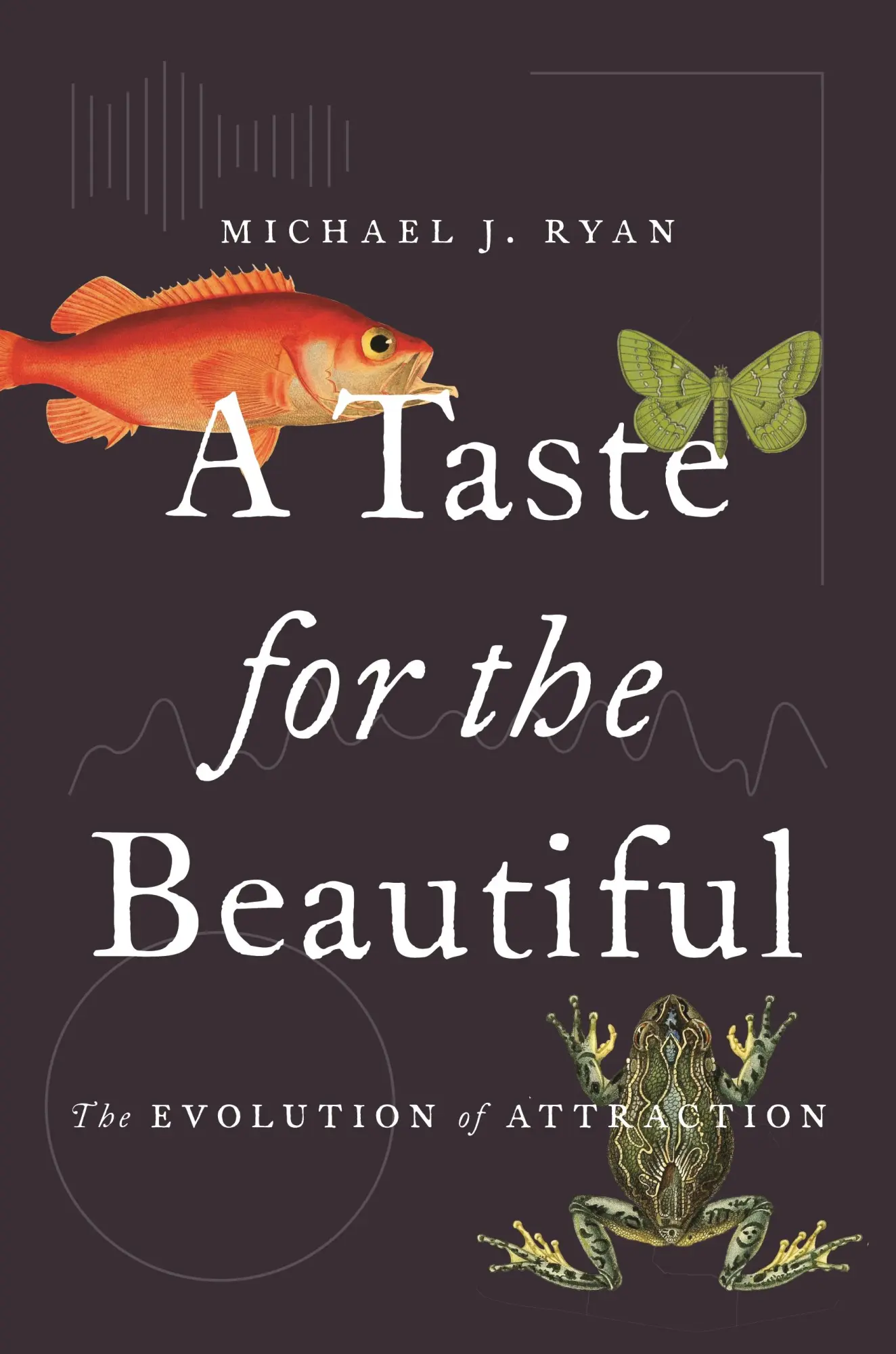 Cover: 9780691191393 | A Taste for the Beautiful | The Evolution of Attraction | Ryan | Buch