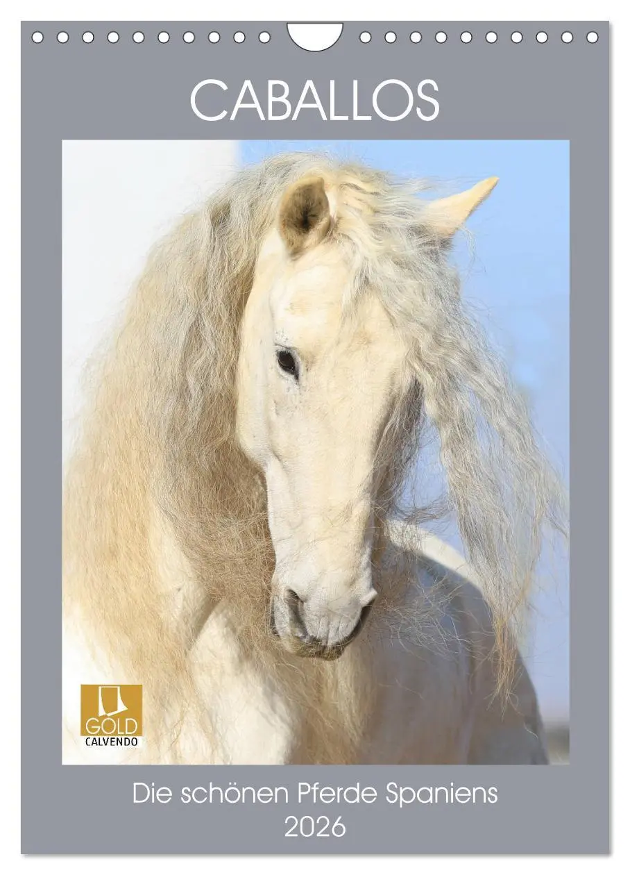 Cover: 9783516411393 | Caballos - Die schönen Pferde Spaniens (Wandkalender 2026 DIN A4...