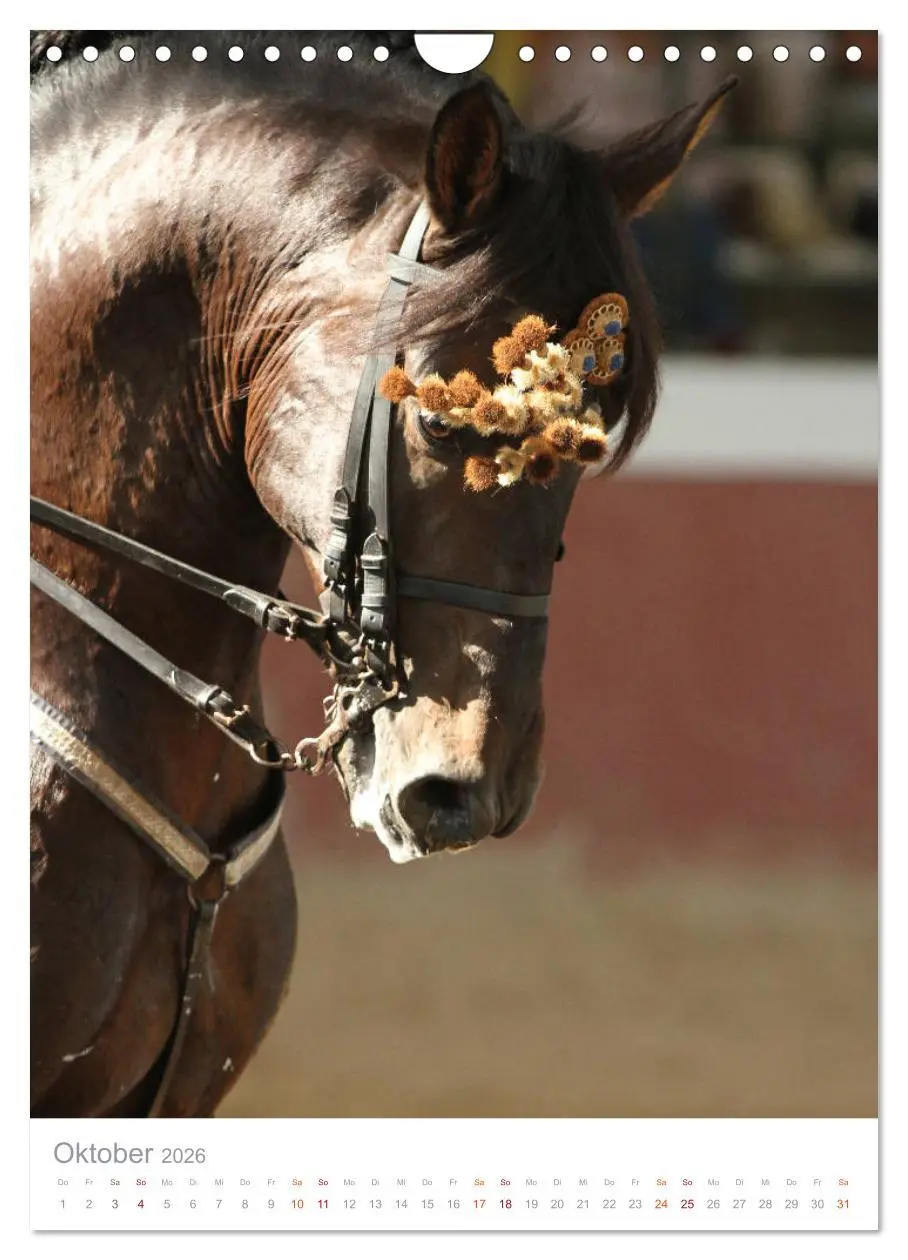 Bild: 9783516411393 | Caballos - Die schönen Pferde Spaniens (Wandkalender 2026 DIN A4...