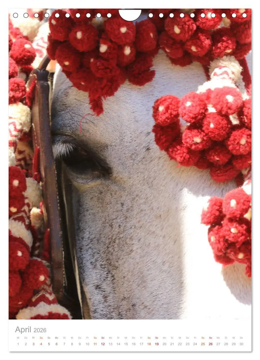 Bild: 9783516411393 | Caballos - Die schönen Pferde Spaniens (Wandkalender 2026 DIN A4...