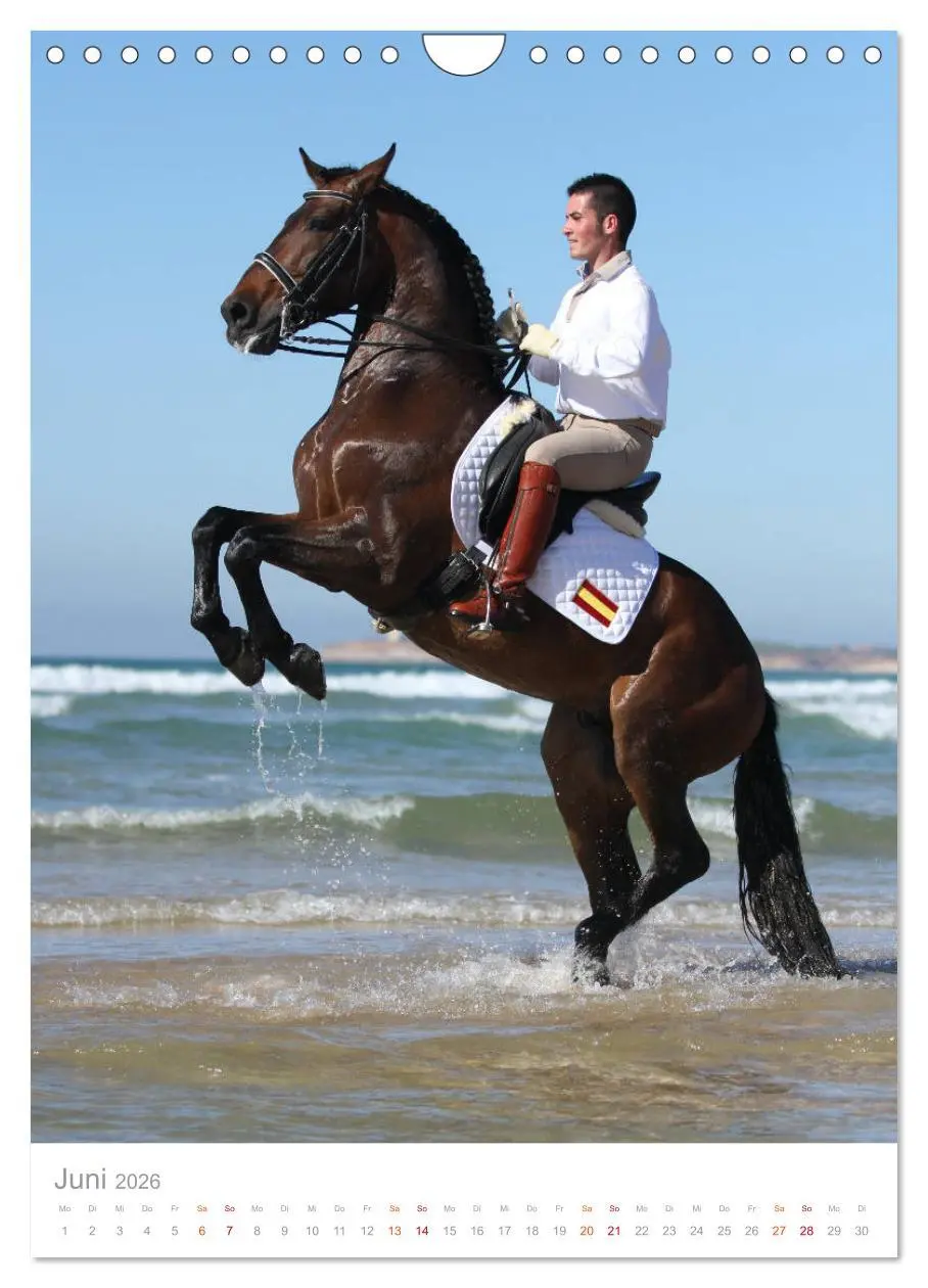 Bild: 9783516411393 | Caballos - Die schönen Pferde Spaniens (Wandkalender 2026 DIN A4...