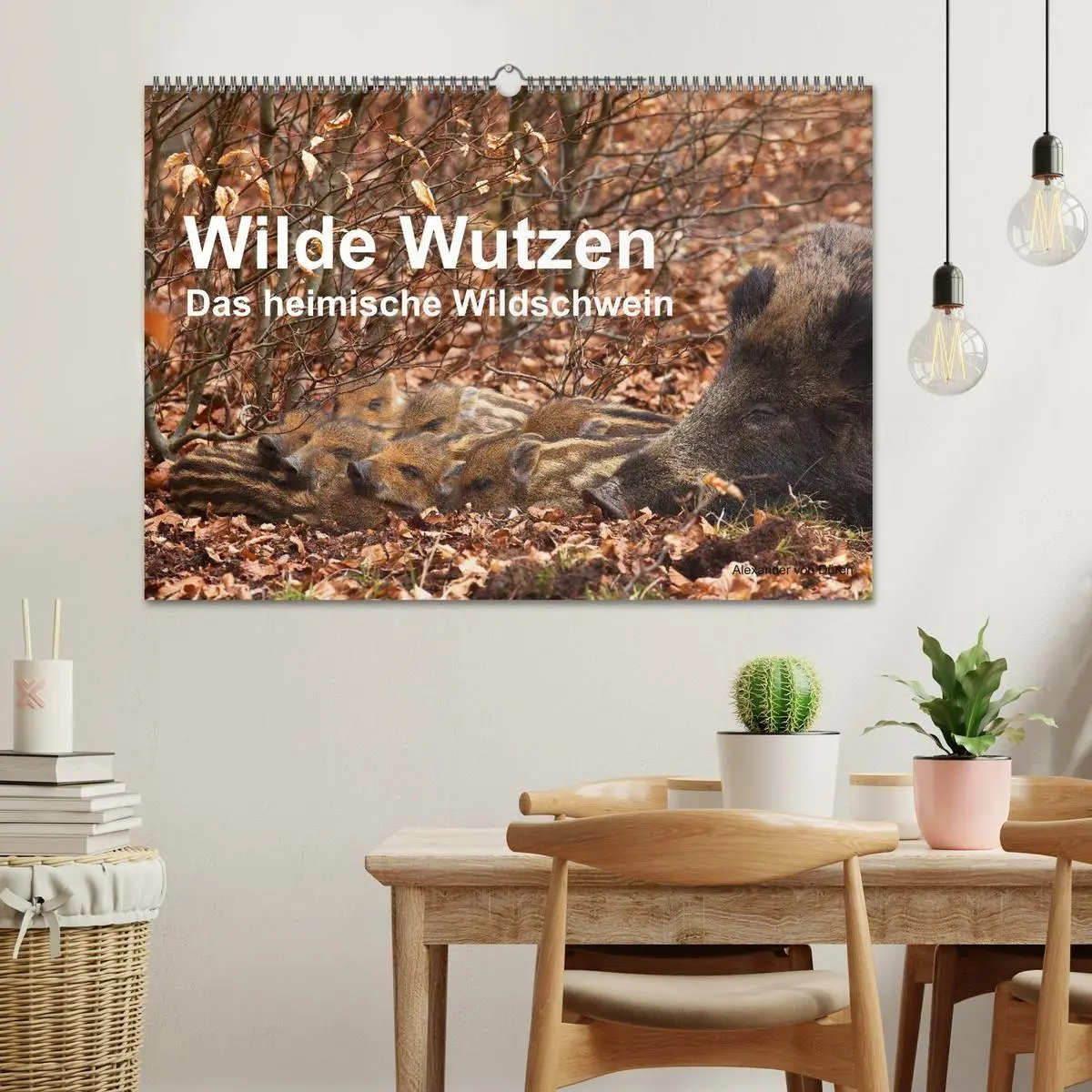 Bild: 9783594011393 | Wilde Wutzen. Das heimische Wildschwein (Wandkalender 2027 DIN A2...