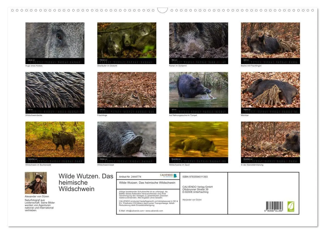 Bild: 9783594011393 | Wilde Wutzen. Das heimische Wildschwein (Wandkalender 2027 DIN A2...