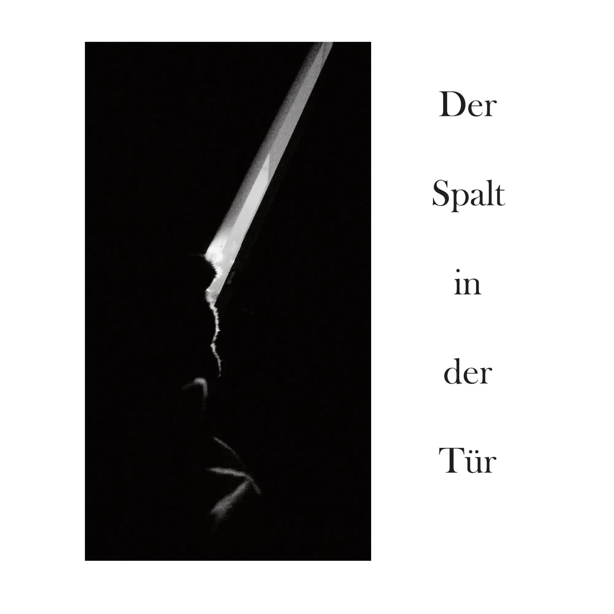 Cover: 9783732231393 | Der Spalt in der Tür | Antje Lindner | Taschenbuch | 68 S. | Deutsch