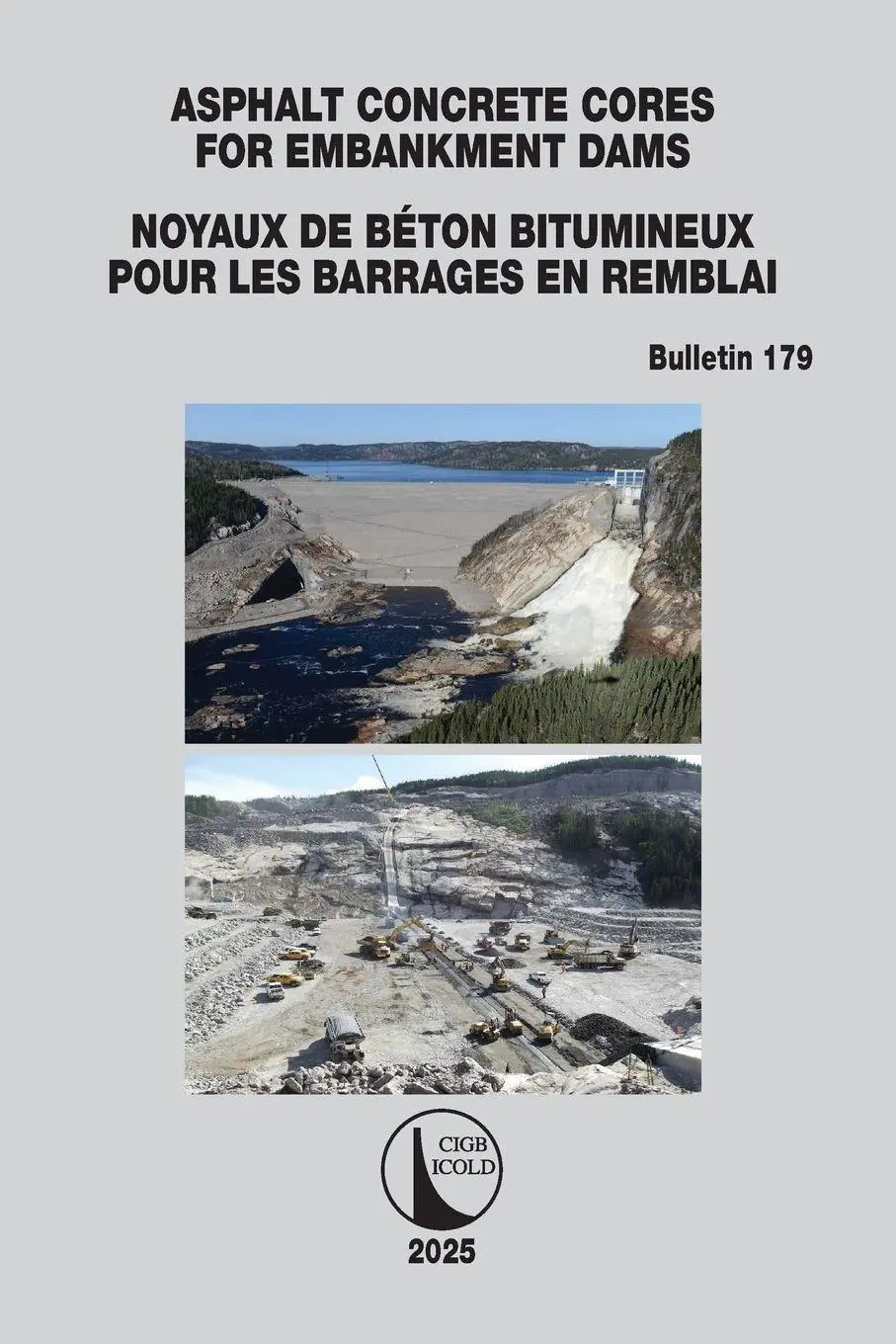Cover: 9781032871493 | Asphalt Concrete Cores for Embankment Dams / Noyaux de Béton...