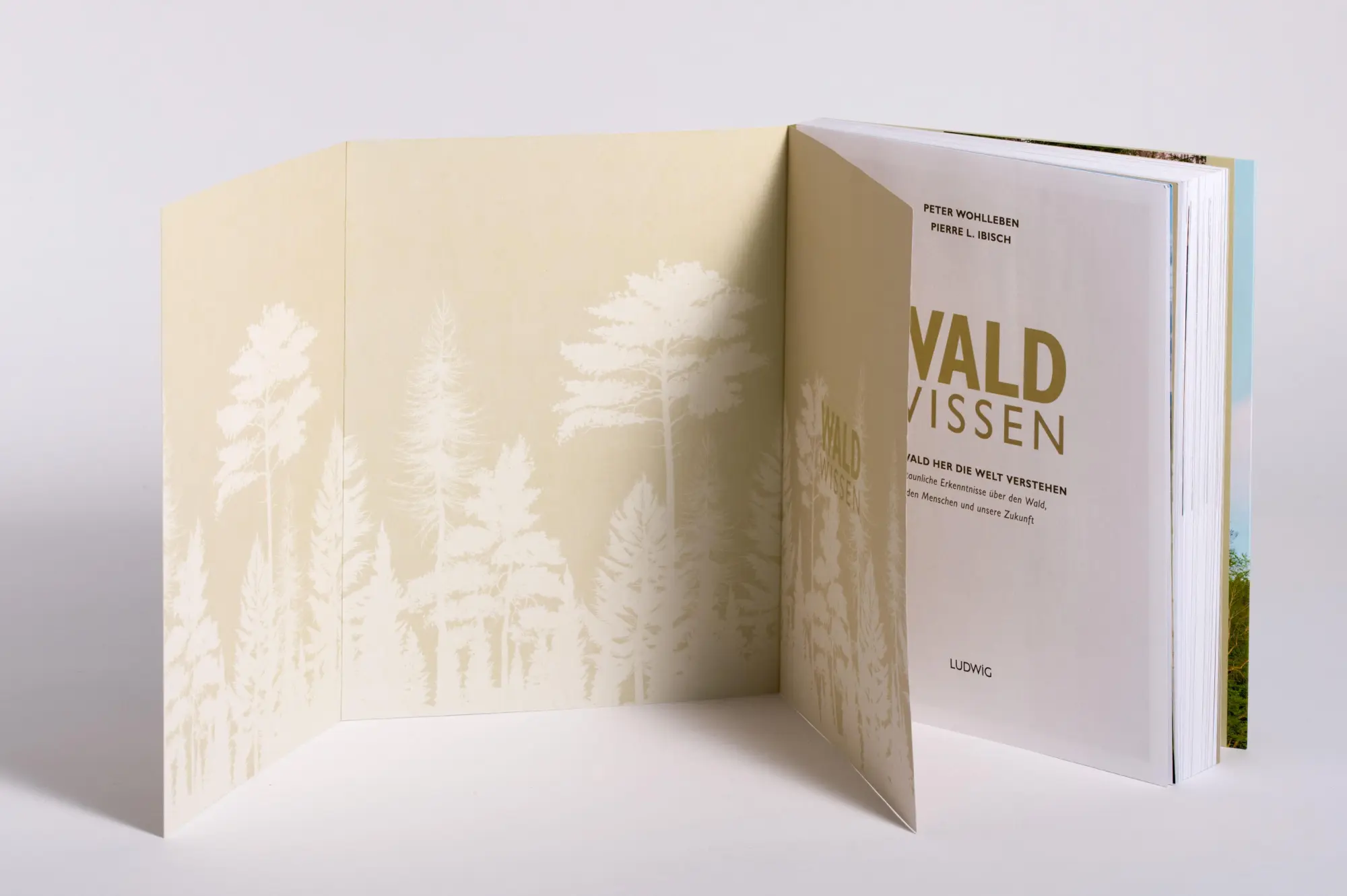 Bild: 9783453281493 | Waldwissen | Peter Wohlleben (u. a.) | Taschenbuch | 384 S. | Deutsch