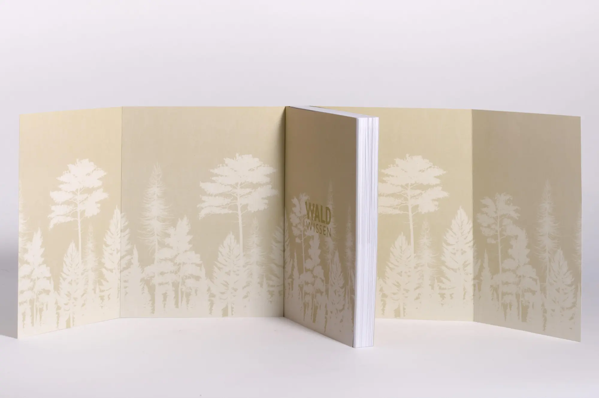 Bild: 9783453281493 | Waldwissen | Peter Wohlleben (u. a.) | Taschenbuch | 384 S. | Deutsch
