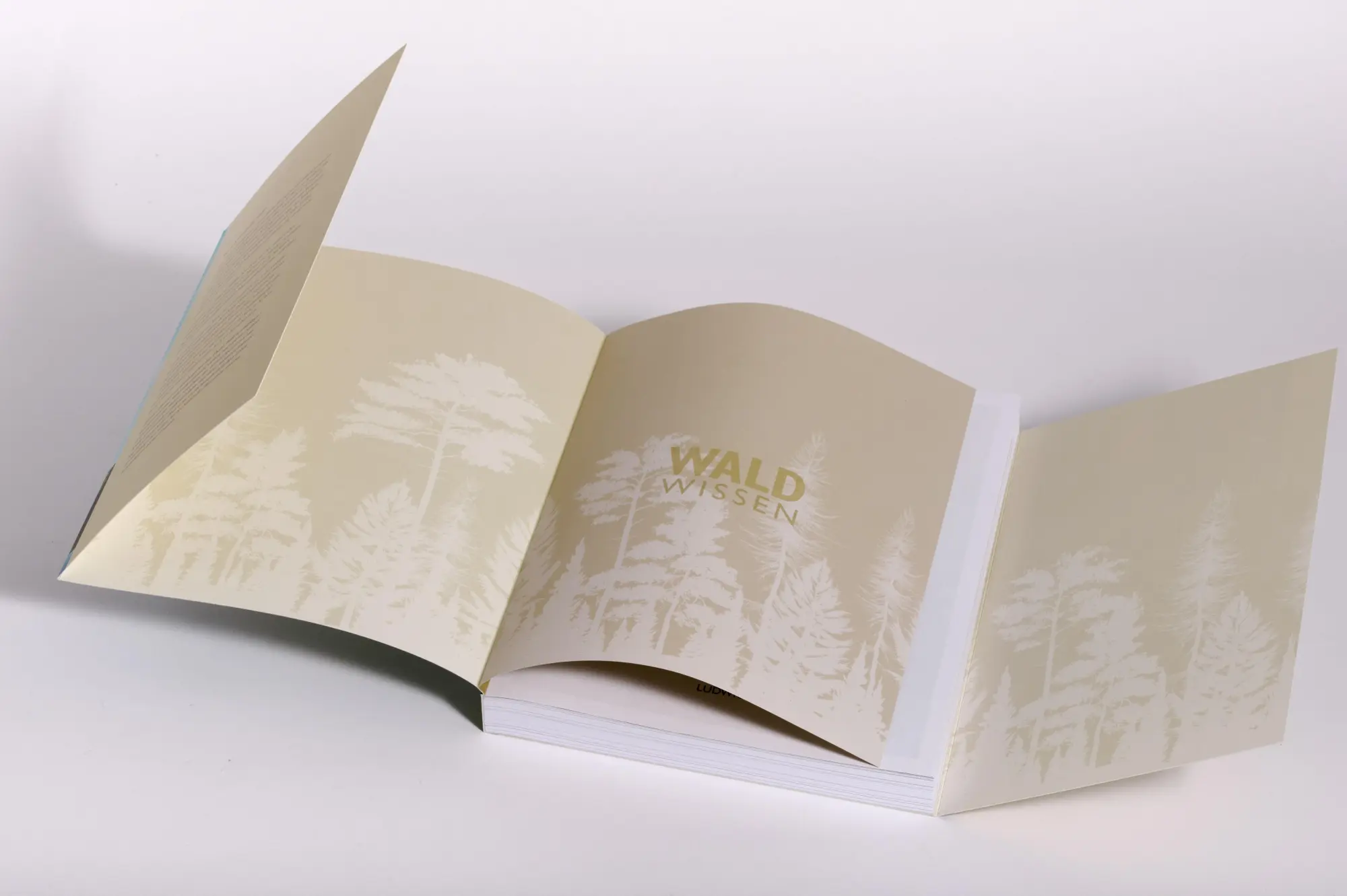 Bild: 9783453281493 | Waldwissen | Peter Wohlleben (u. a.) | Taschenbuch | 384 S. | Deutsch