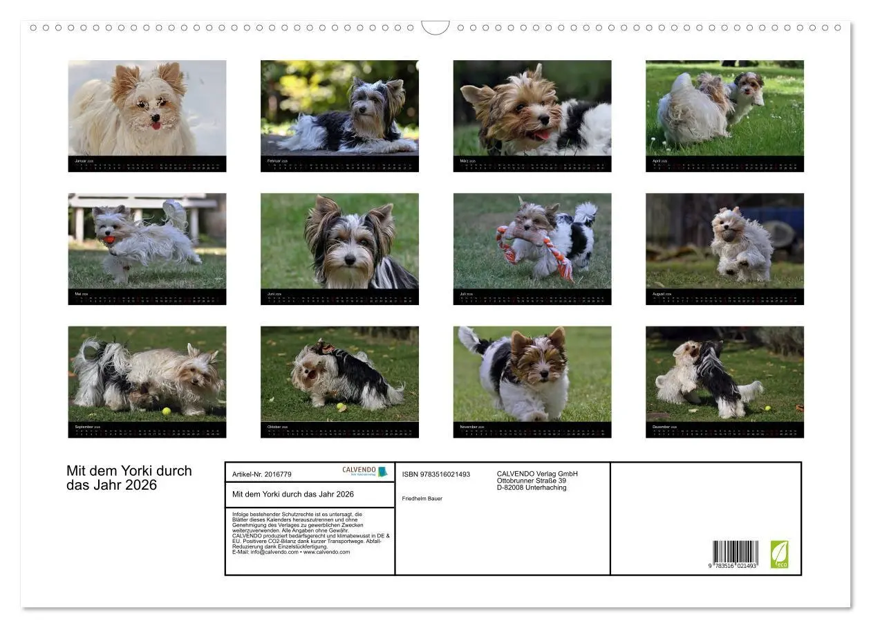 Bild: 9783516021493 | Mit dem Yorki durch das Jahr 2026 (Wandkalender 2026 DIN A2 quer),...
