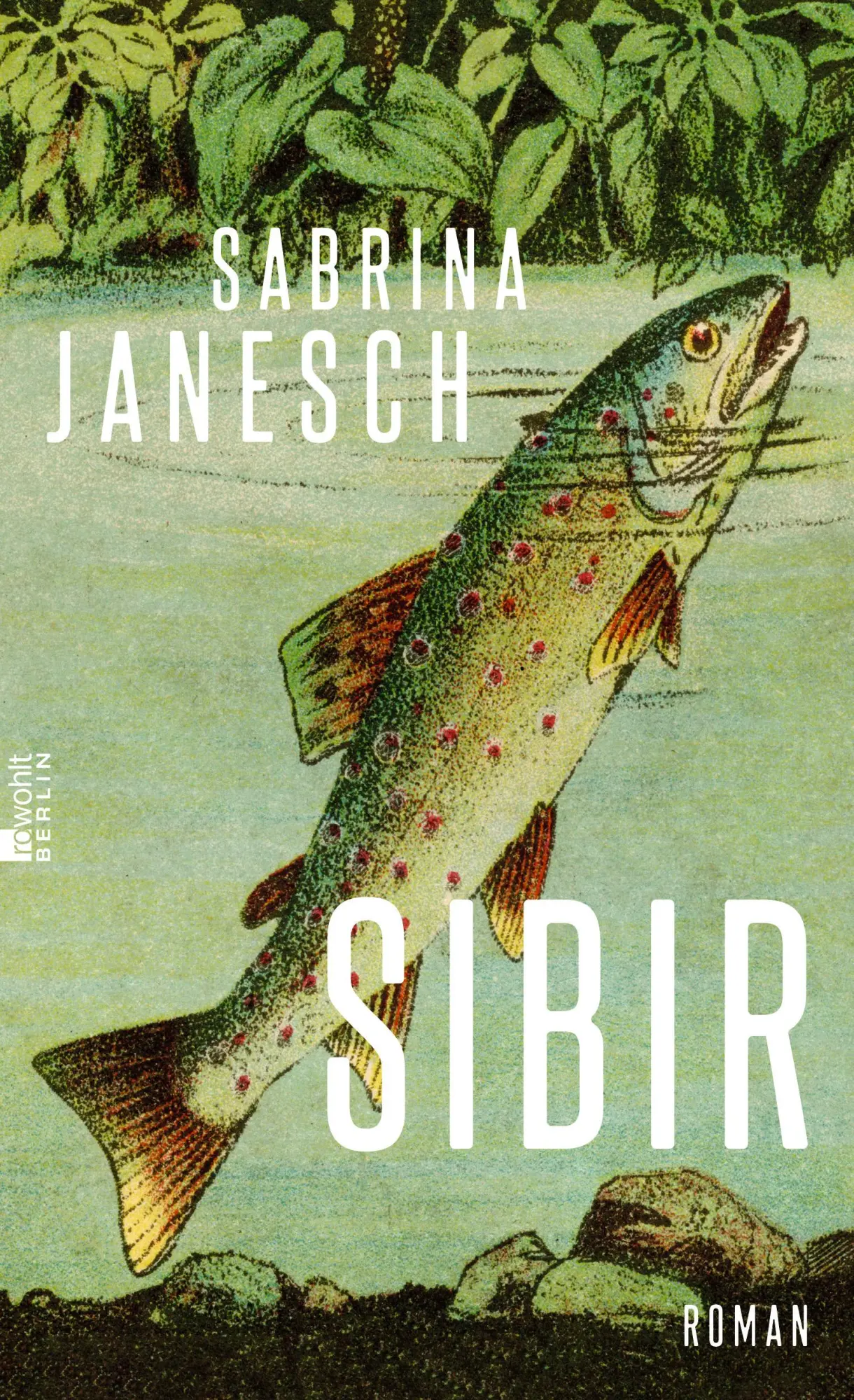 Cover: 9783737101493 | Sibir | 'Ein großartiger, poetischer Roman.' (Süddeutsche Zeitung)