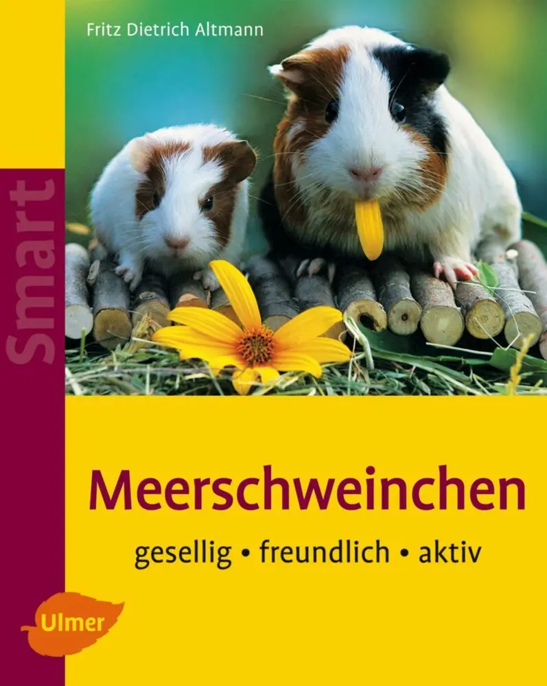 Cover: 9783800151493 | Meerschweinchen | Gesellig - freundlich - aktiv | Altmann | Buch