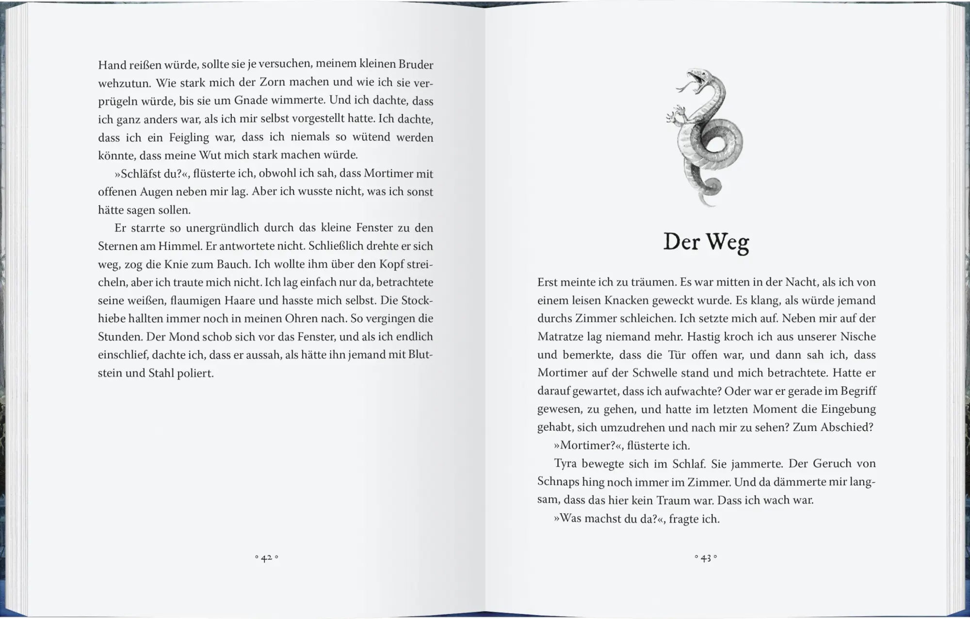 Bild: 9783836961493 | Sem und Mo im Land der Lindwürmer | Frida Nilsson | Buch | 400 S.
