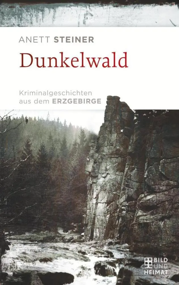 Cover: 9783959581493 | Dunkelwald | Anett Steiner | Taschenbuch | 205 S. | Deutsch | 2018