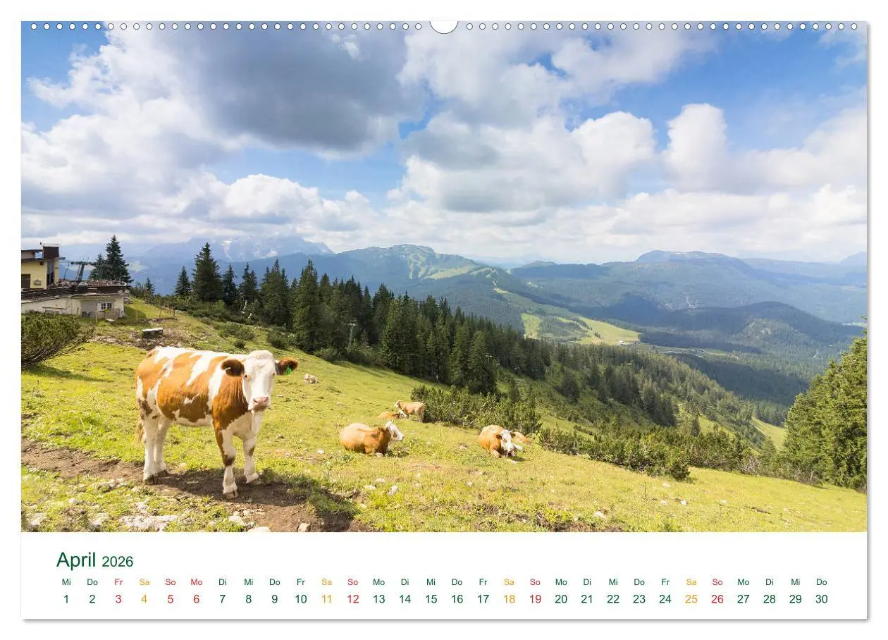 Bild: 9783457781593 | Auf der Winklmoosalm (Wandkalender 2026 DIN A2 quer), CALVENDO...