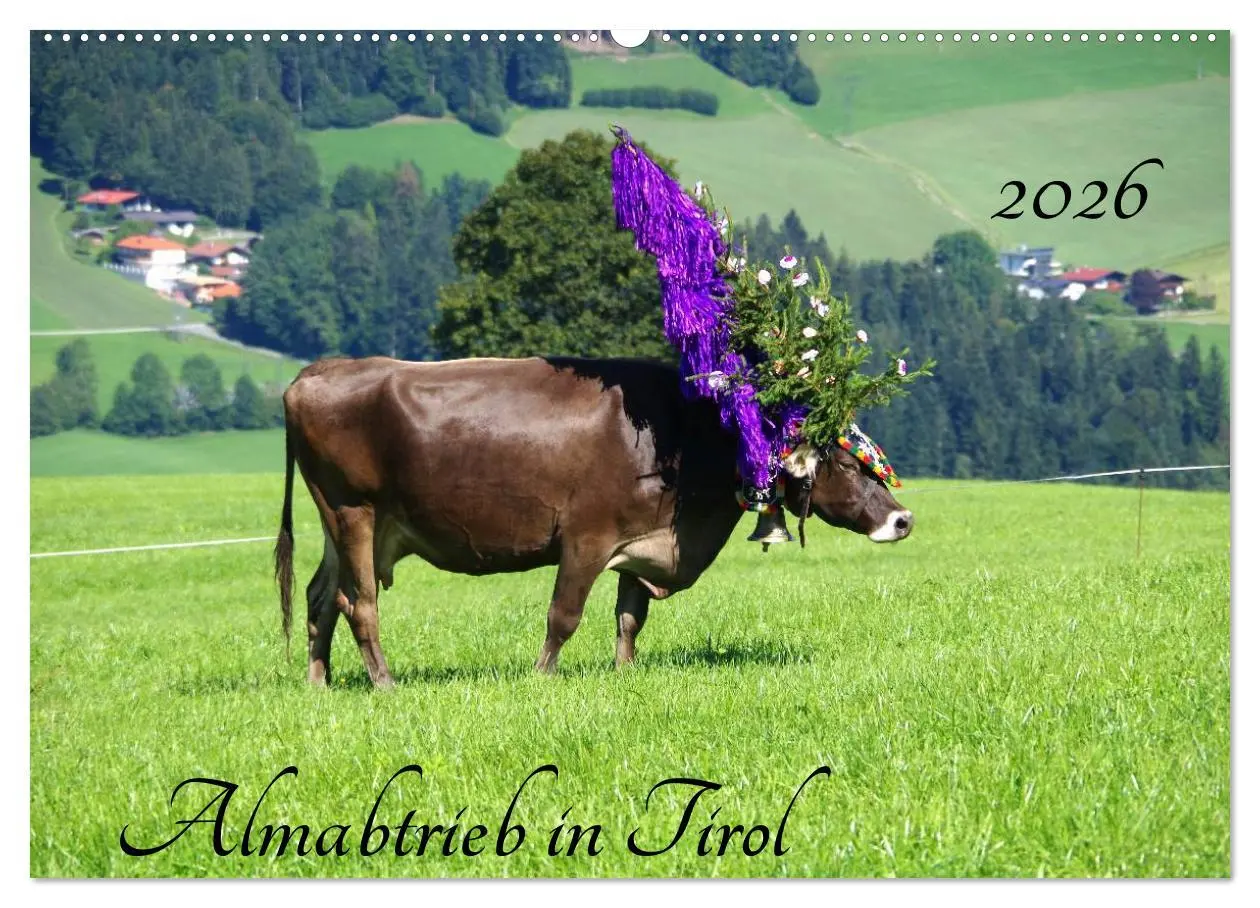 Cover: 9783516001693 | Almabtrieb in Tirol (Wandkalender 2026 DIN A2 quer), CALVENDO...